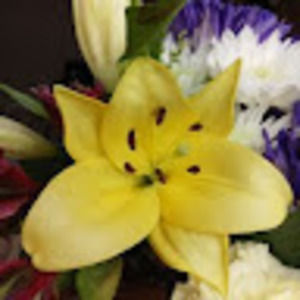 Meet your Posher, Kelly